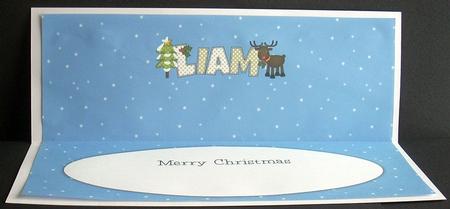 Rudolf the Red Nose Reindeer Liam Large Dl Insert by Joyce Watson