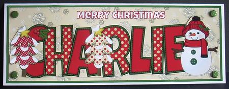 Cute Snowman Charlie Large Dl by Joyce Watson