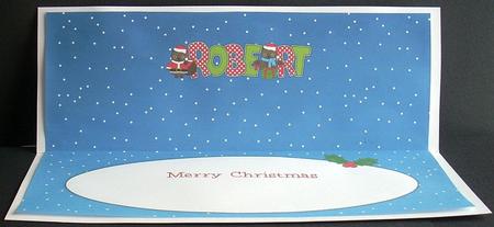 Christmas Owls Robert Large Dl Insert by Joyce Watson
