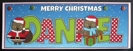 Christmas Owls Daniel Large Dl by Joyce Watson