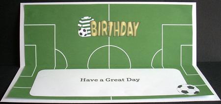 Green & White Hoops Football Top Birthday Large Dl Insert by Joyce Watson