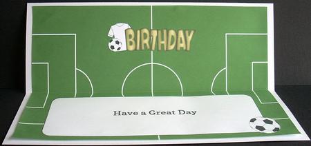 White Football Top Birthday Large Dl Insert by Joyce Watson