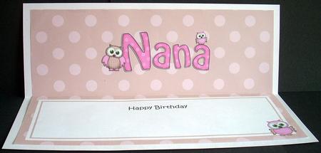 Birthday Nana Owls Matching Large Dl Insert by Joyce Watson