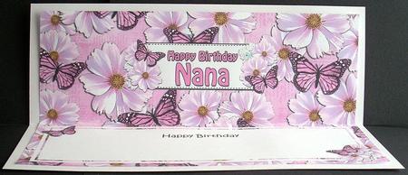 Birthday Nana Floral Butterflies Large Dl Insert by Joyce Watson