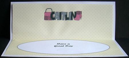 Bag & Shoes Caitlin Large Dl Insert by Joyce Watson