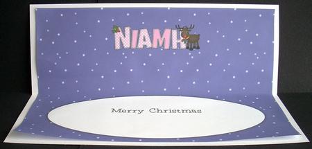 Rudolf the Red Nose Reindeer Niamh Large Dl Insert by Joyce Watson