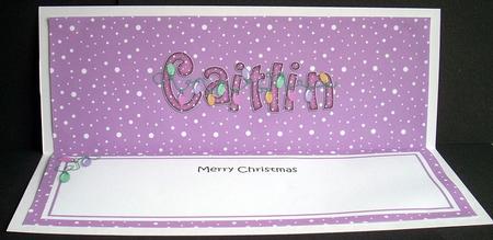 Merry Christmas Caitlin Xmas Lights Matching Large Dl Insert by Joyce Watson