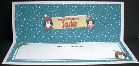 Xmas Jade Penguins Signpost Large Dl Matching Insert by Joyce Watson