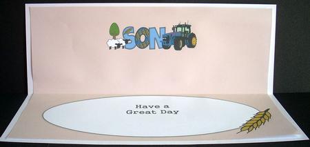Country Life Son Large Dl Insert by Joyce Watson