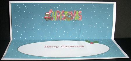 Christmas Owls Christmas Large Dl Insert by Joyce Watson