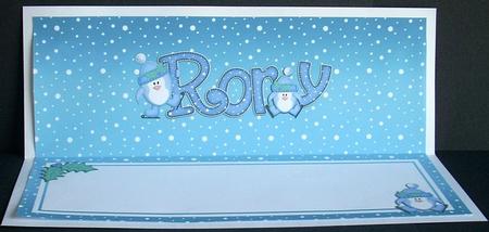 Xmas Rory Matching Large Dl Insert by Joyce Watson