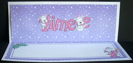 Xmas Aimee Matching Large Dl Insert by Joyce Watson