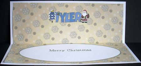 Santa Tyler Large Dl Insert by Joyce Watson