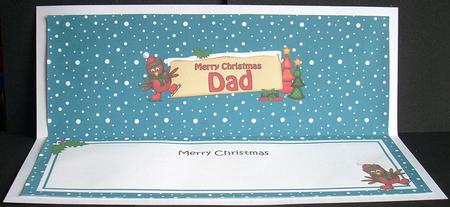 Xmas Dad Robin Signpost Large Dl Matching Insert by Joyce Watson