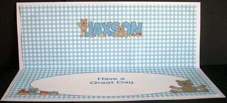 Teddies Jaxson Large Dl Insert by Joyce Watson