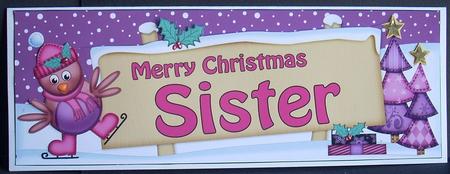 Xmas Sister Robin Signpost Large Dl Easicut 3D Decoupage by Joyce Watson
