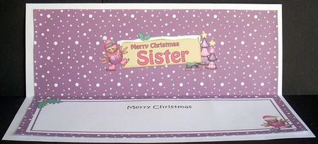 Xmas Sister Robin Signpost Large Dl Matching Insert by Joyce Watson