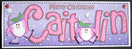 Xmas Large Dl Caitlin Quick Card N 3D Decoupage by Joyce Watson