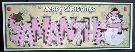 Cute Snowman Samantha Large Dl by Joyce Watson