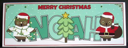 Christmas Owls Noah Large Dl by Joyce Watson