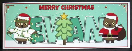 Christmas Owls Evan Large Dl by Joyce Watson