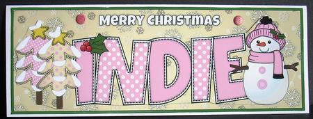 Cute Snowman Indie Large Dl by Joyce Watson