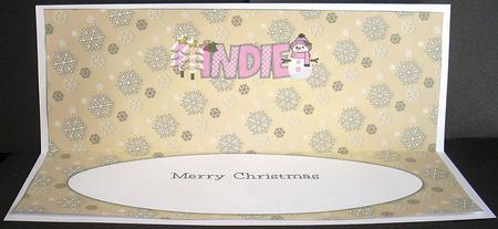 Cute Snowman Indie Large Dl Insert by Joyce Watson