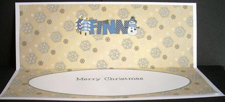 Cute Snowman Finn Large Dl Insert by Joyce Watson