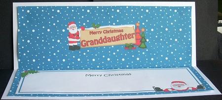 Xmas Granddaughter Santa Signpost Lge Dl Matching Insert by Joyce Watson