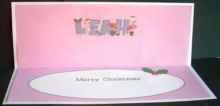 Christmas Fairies Leah Large Dl Insert by Joyce Watson