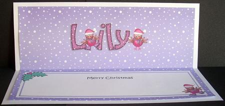 Xmas Lily Robins Matching Large Dl Insert by Joyce Watson