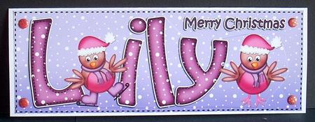 Xmas Lily Robins Large Dl & 3D Decoupage by Joyce Watson