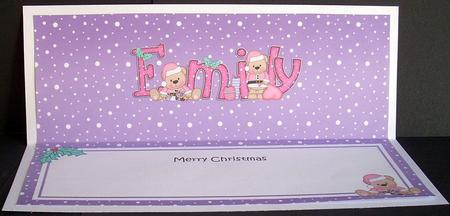 Large Dl Xmas Emily Livvy Bear Matching Insert by Joyce Watson