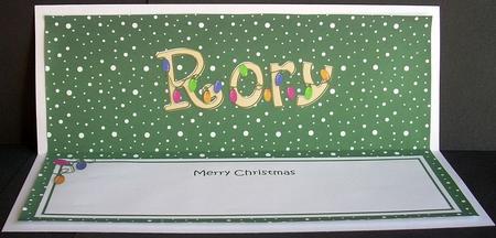 Merry Christmas Rory Xmas Lights Matching Large Dl Insert by Joyce Watson