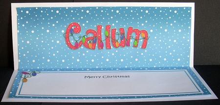 Merry Christmas Callum Xmas Lights Matching Large Dl Insert by Joyce Watson