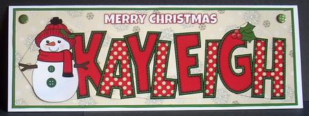 Cute Snowman Kayleigh Large Dl by Joyce Watson