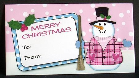 Snowman Money Wallet 5 by Joyce Watson