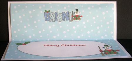 Snowman Briony Large Dl Insert by Joyce Watson