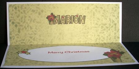 Red Poinsettia Marion Large Dl Insert by Joyce Watson