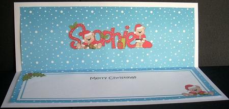 Large Dl Xmas Sophie Livvy Bear Matching Insert by Joyce Watson
