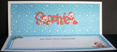Large Dl 1st Xmas Sophie Livvy Bear Matching Insert by Joyce Watson