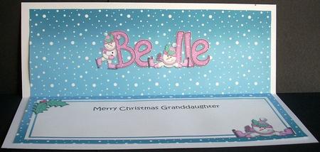 Large Dl Xmas Granddaughter Belle Snowman Matching Insert by Joyce Watson