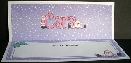 Large Dl Xmas Cara Santa Matching Insert by Joyce Watson