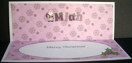 Santa in Coat Miah Large Dl Insert by Joyce Watson