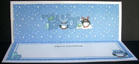 Large Dl Xmas Taylor Pip Penguin Matching Insert by Joyce Watson