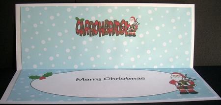 Merry Christmas from Carronbridge Large Dl Insert by Joyce Watson