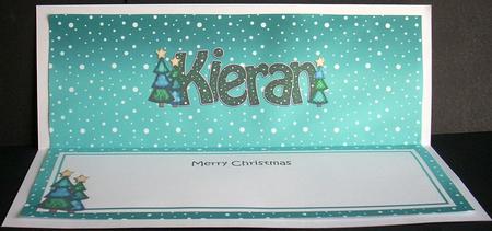 Large Dl Xmas Kieran Trees Matching Insert by Joyce Watson