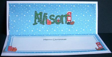 Large Dl Xmas Allison Postbox Matching Insert by Joyce Watson