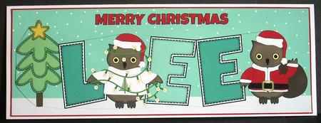 Christmas Owls Lee Large Dl by Joyce Watson