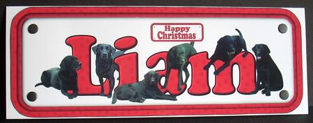 Liam & Labradors Christmas Name Sign by Joyce Watson